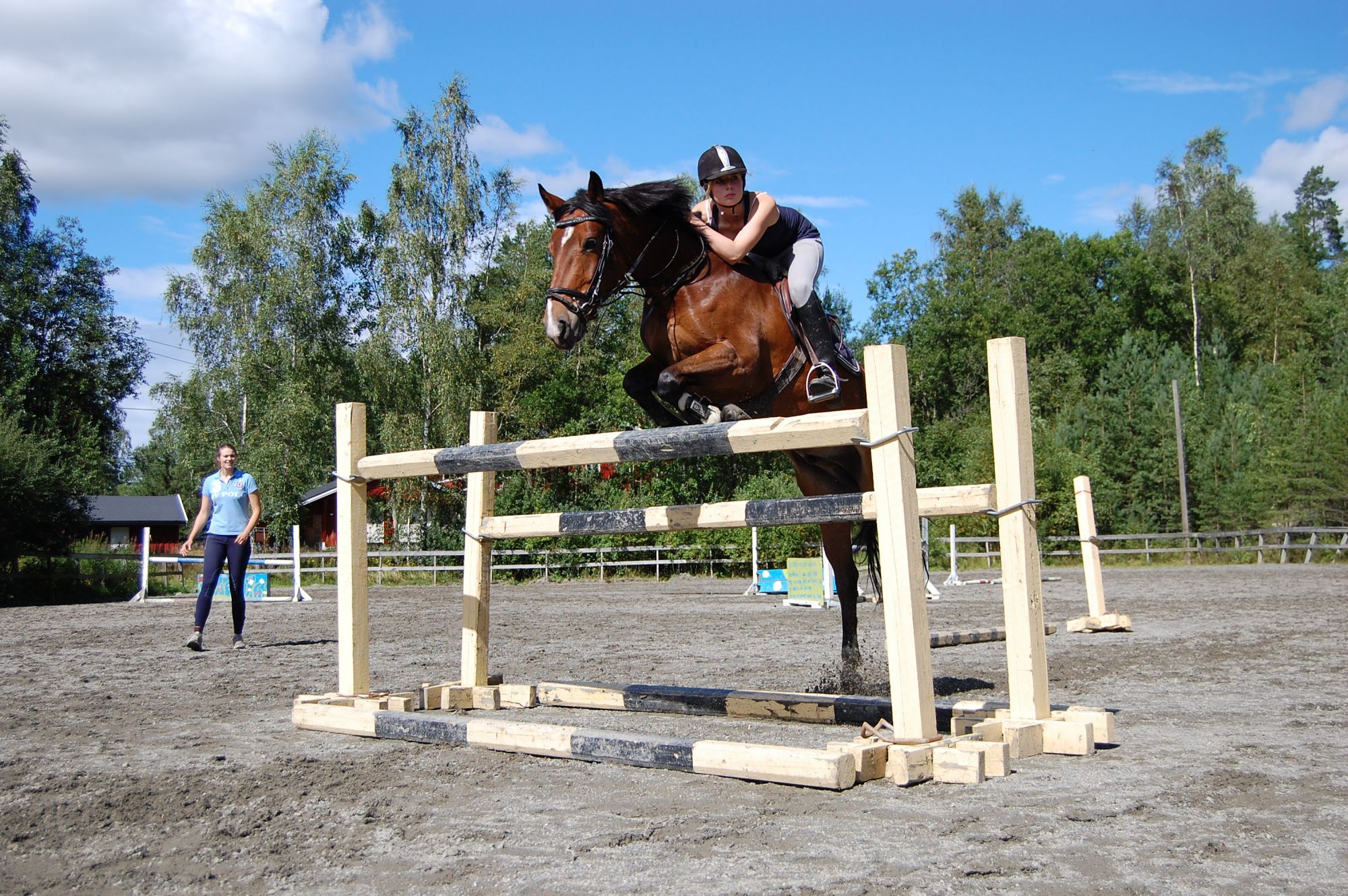 Wakelys-Fair-Judge-Lille-Klumpen